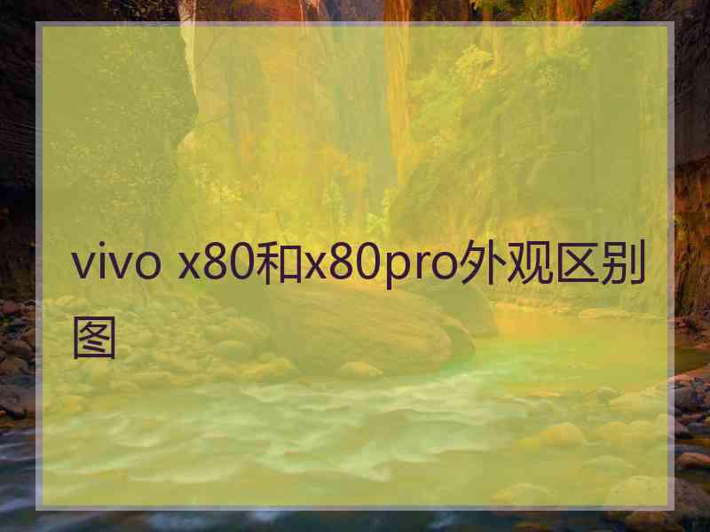 vivo x80和x80pro外观区别图