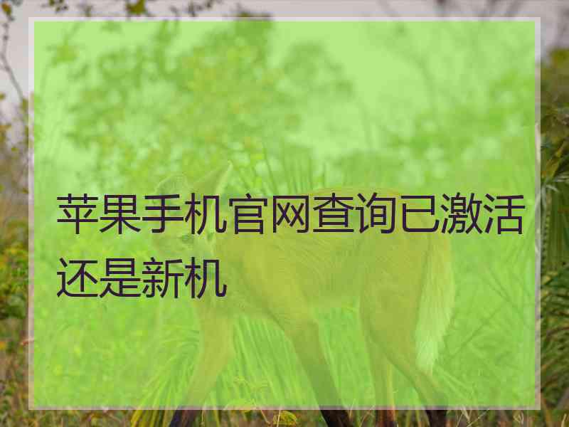 苹果手机官网查询已激活还是新机