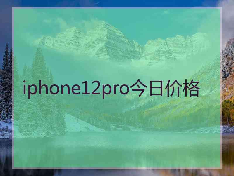 iphone12pro今日价格