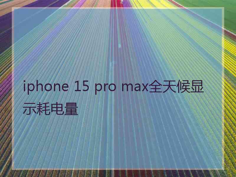 iphone 15 pro max全天候显示耗电量