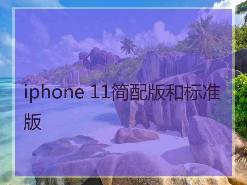 iphone 11简配版和标准版