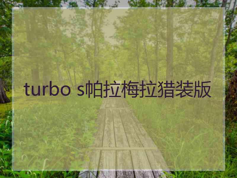 turbo s帕拉梅拉猎装版