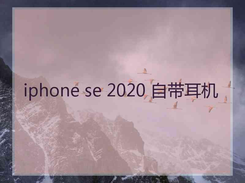 iphone se 2020 自带耳机