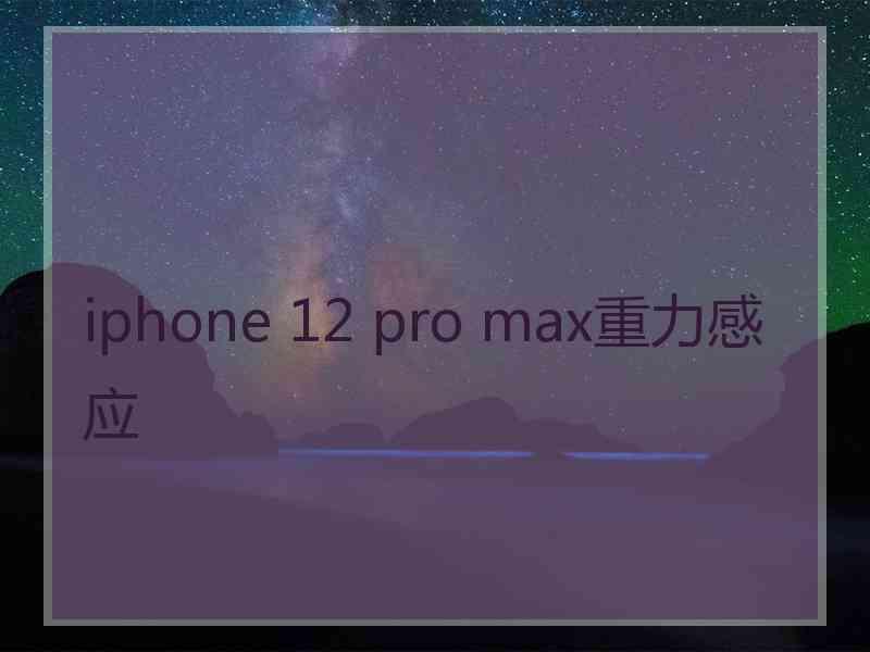 iphone 12 pro max重力感应