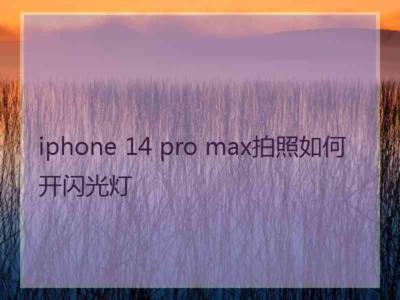 iphone 14 pro max拍照如何开闪光灯