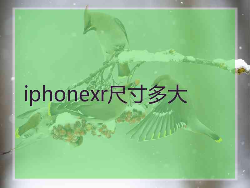 iphonexr尺寸多大