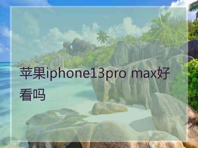 苹果iphone13pro max好看吗