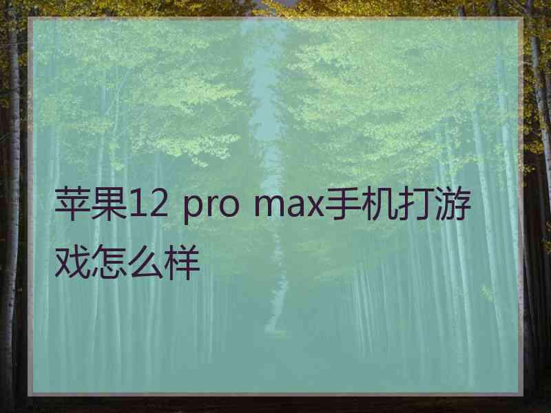 苹果12 pro max手机打游戏怎么样