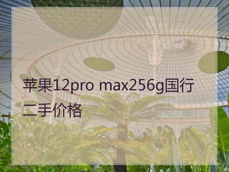 苹果12pro max256g国行二手价格