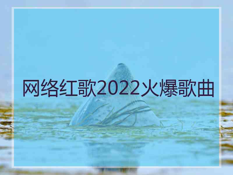 网络红歌2022火爆歌曲