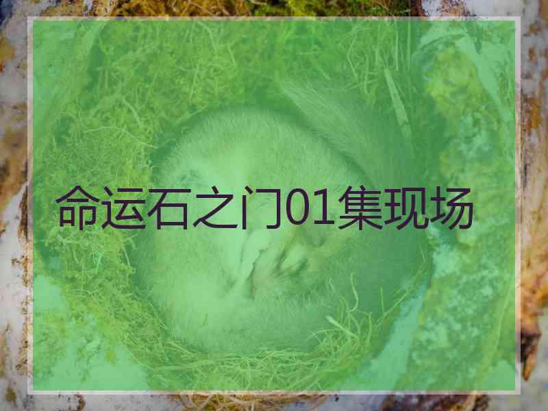 命运石之门01集现场