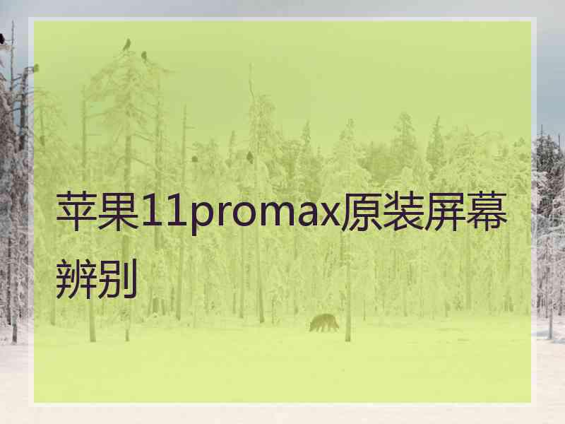 苹果11promax原装屏幕辨别