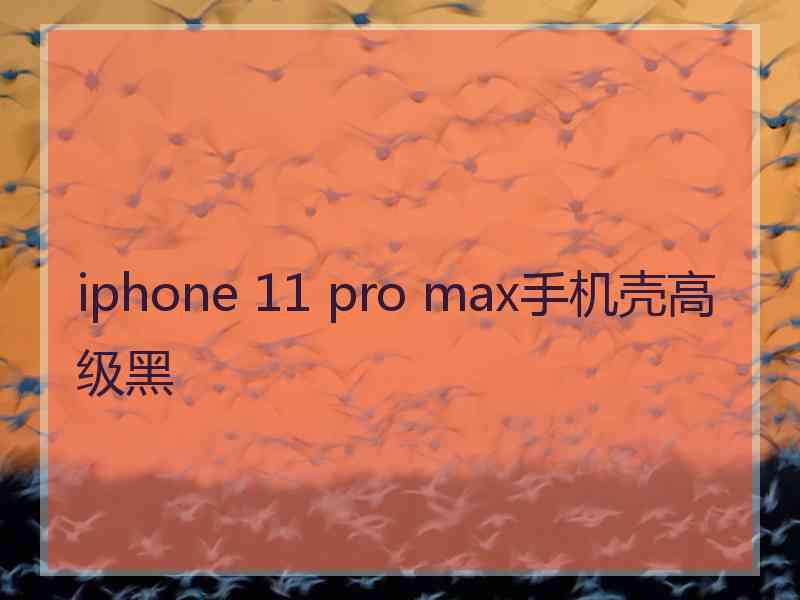 iphone 11 pro max手机壳高级黑