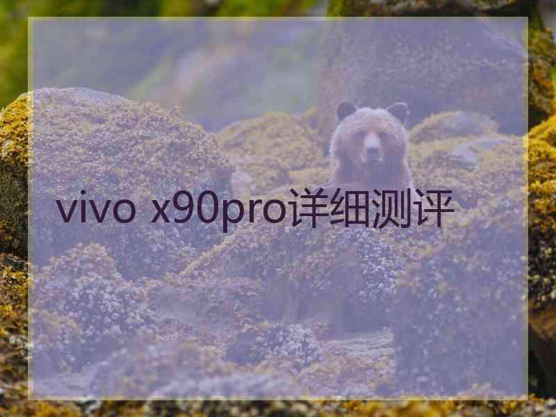 vivo x90pro详细测评