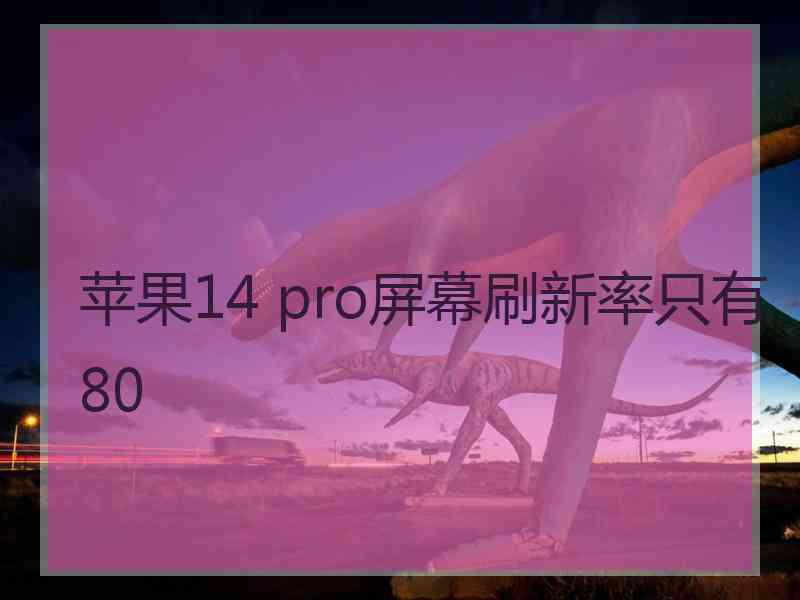 苹果14 pro屏幕刷新率只有80