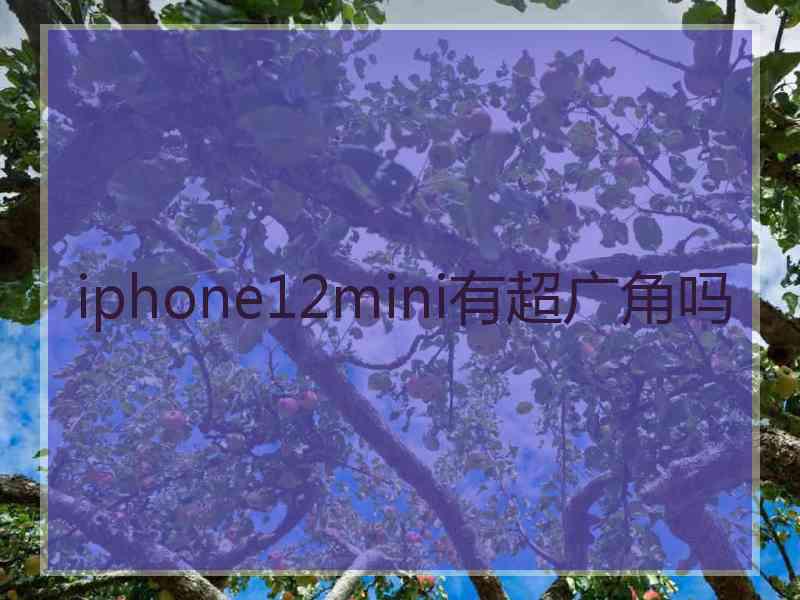 iphone12mini有超广角吗