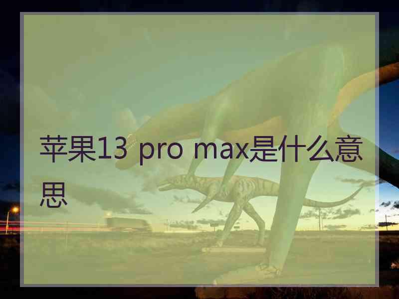 苹果13 pro max是什么意思