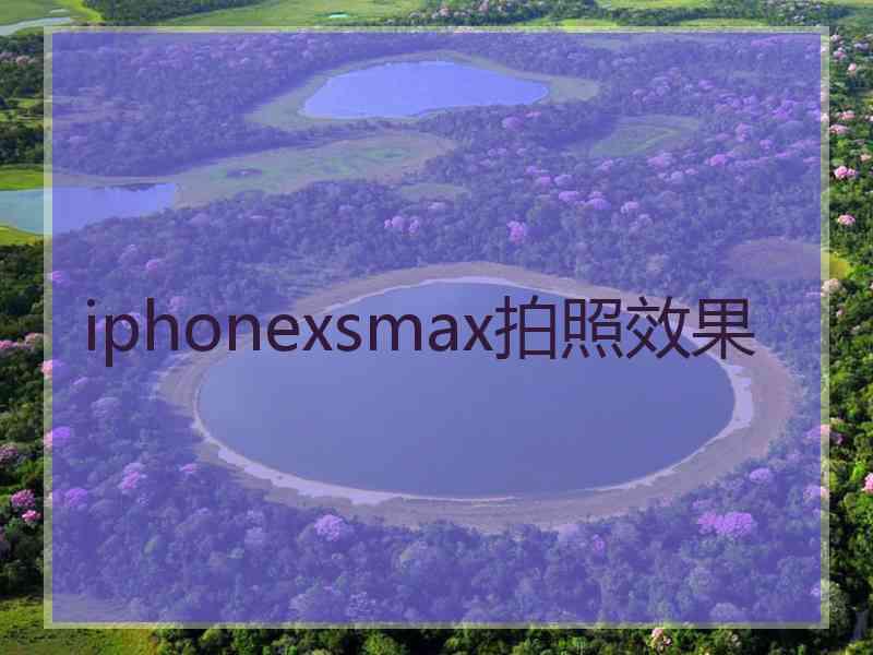 iphonexsmax拍照效果