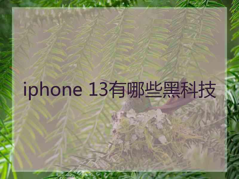 iphone 13有哪些黑科技