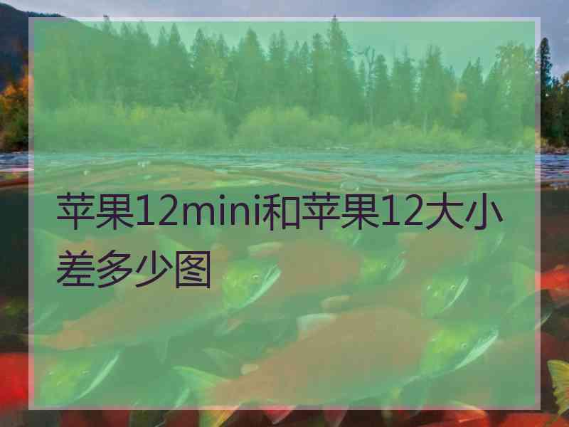 苹果12mini和苹果12大小差多少图