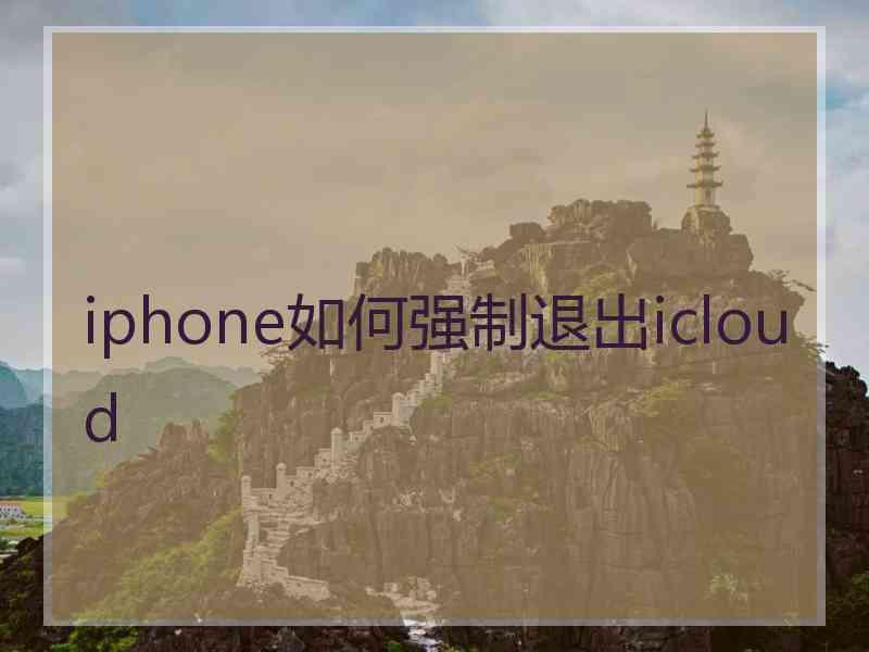 iphone如何强制退出icloud