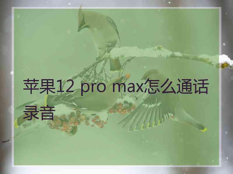 苹果12 pro max怎么通话录音