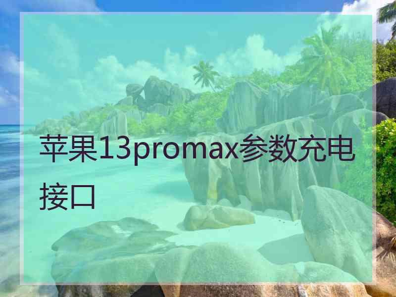 苹果13promax参数充电接口