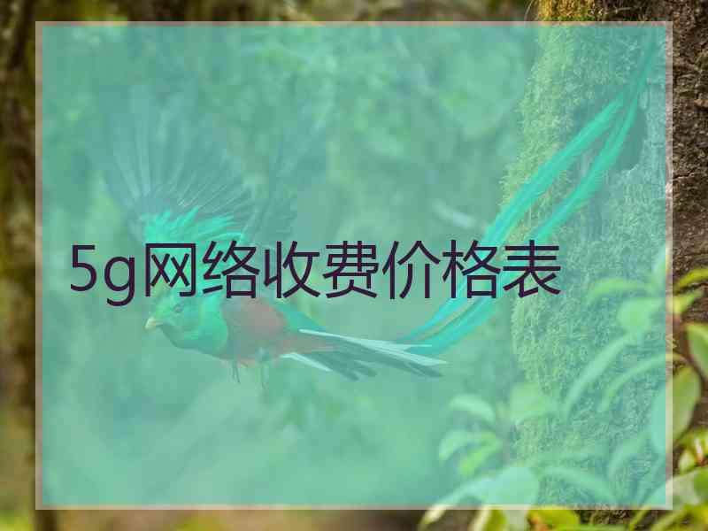 5g网络收费价格表