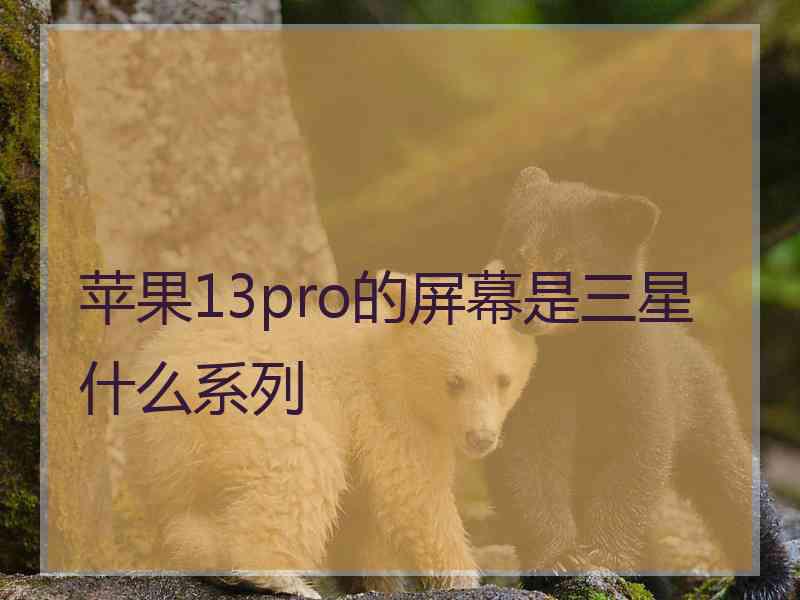 苹果13pro的屏幕是三星什么系列