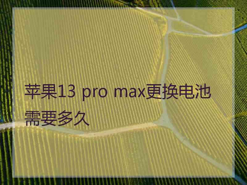 苹果13 pro max更换电池需要多久