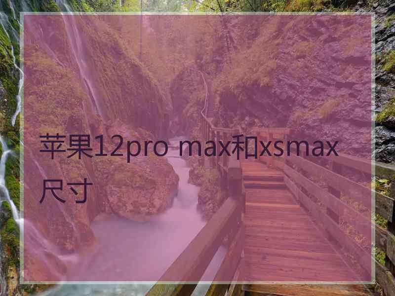 苹果12pro max和xsmax尺寸