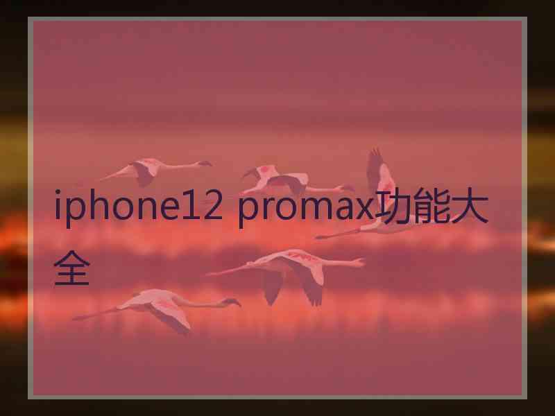 iphone12 promax功能大全