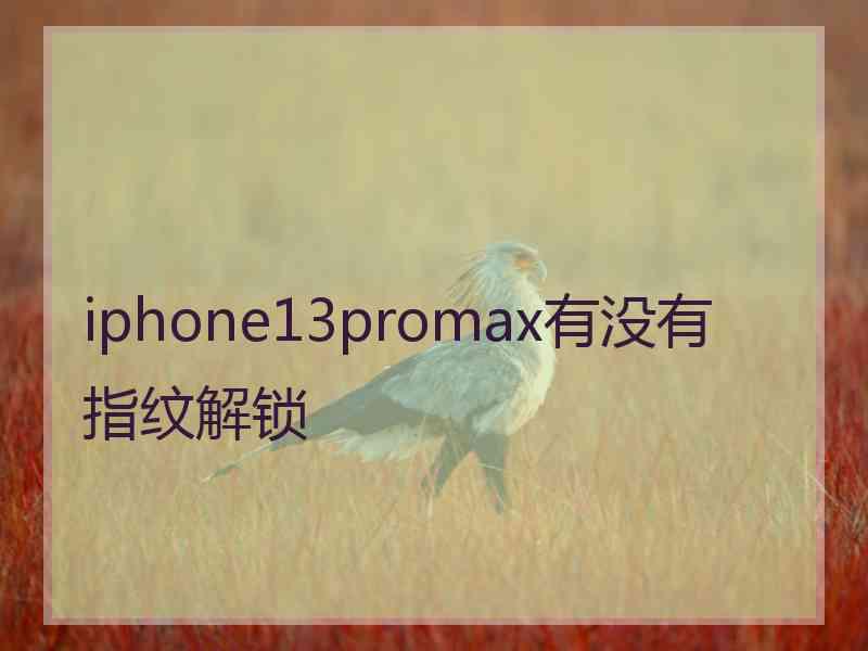 iphone13promax有没有指纹解锁