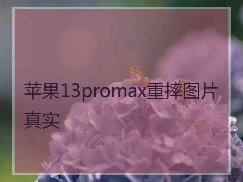 苹果13promax重摔图片真实