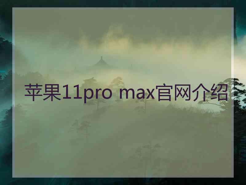 苹果11pro max官网介绍