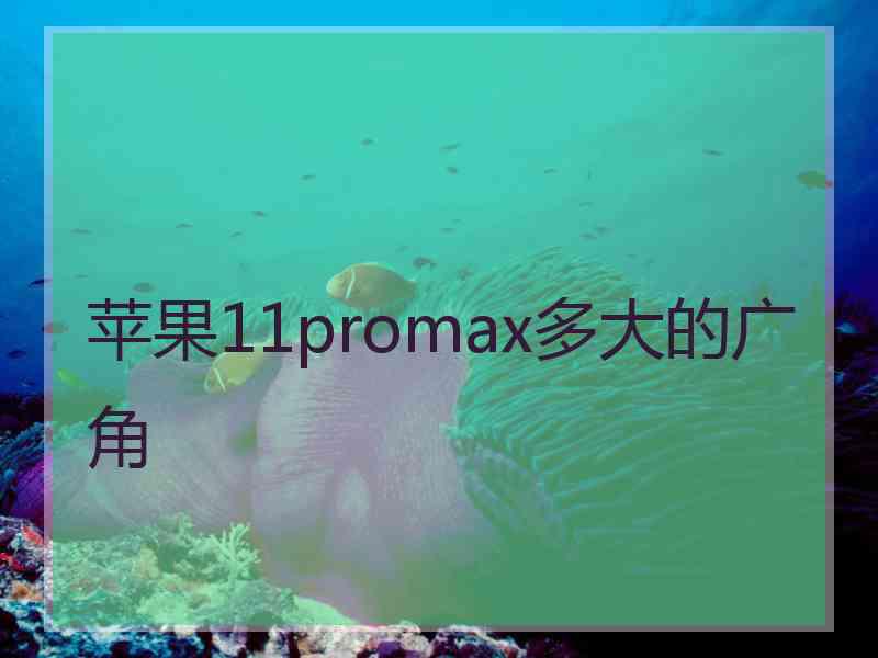 苹果11promax多大的广角