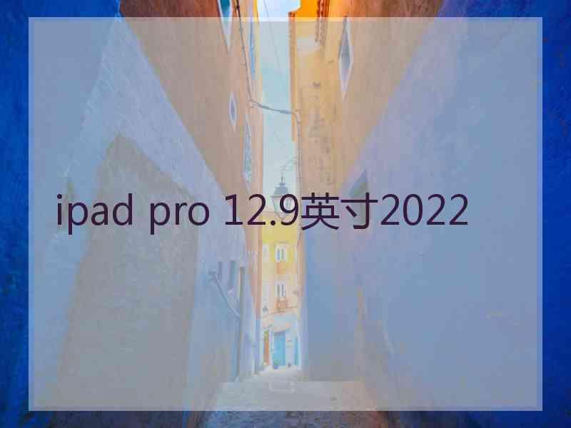 ipad pro 12.9英寸2022