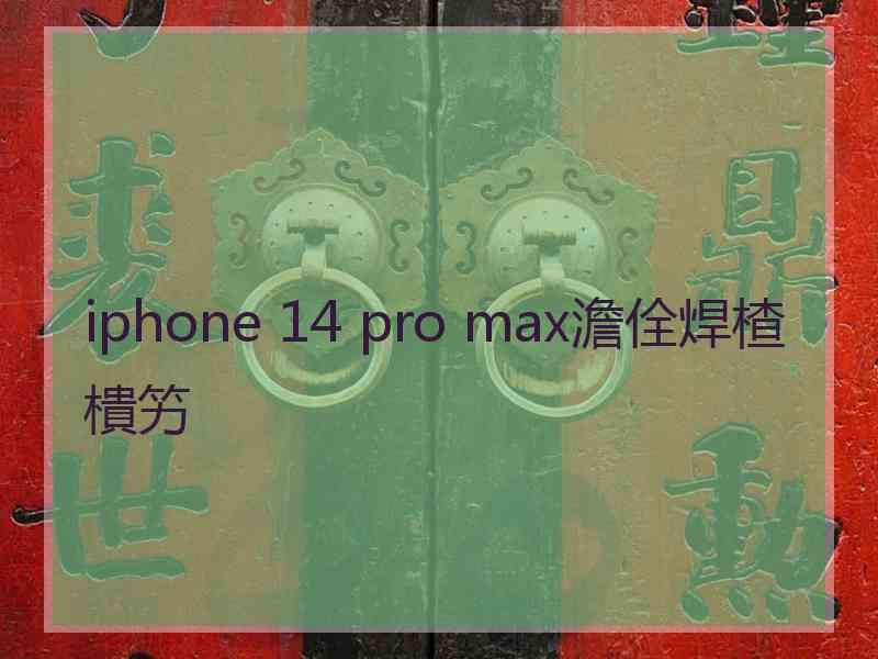 iphone 14 pro max澹佺焊楂樻竻