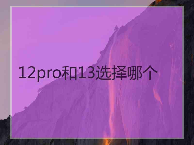 12pro和13选择哪个