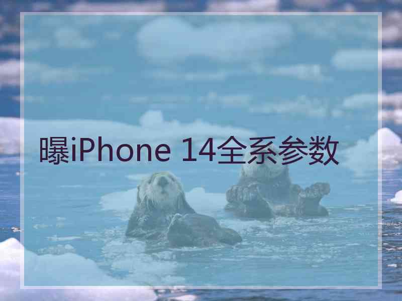 曝iPhone 14全系参数