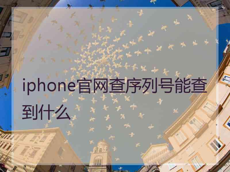 iphone官网查序列号能查到什么