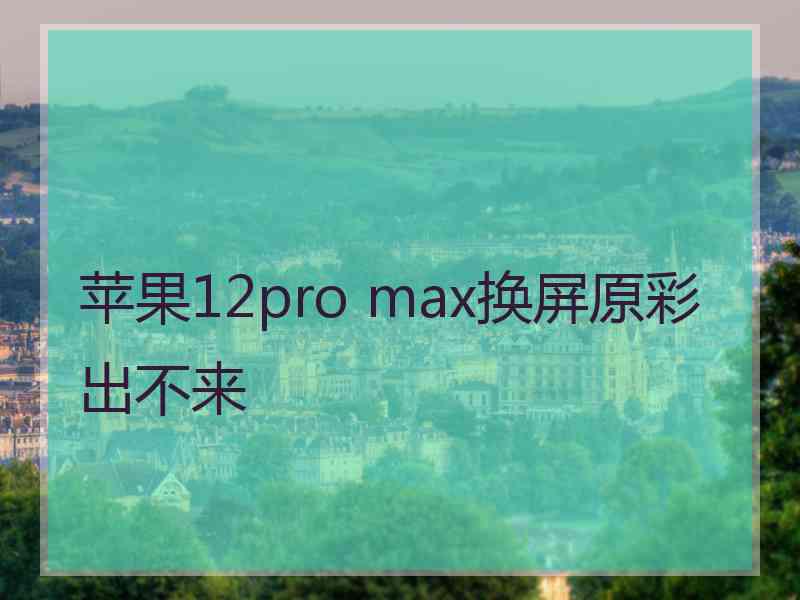 苹果12pro max换屏原彩出不来