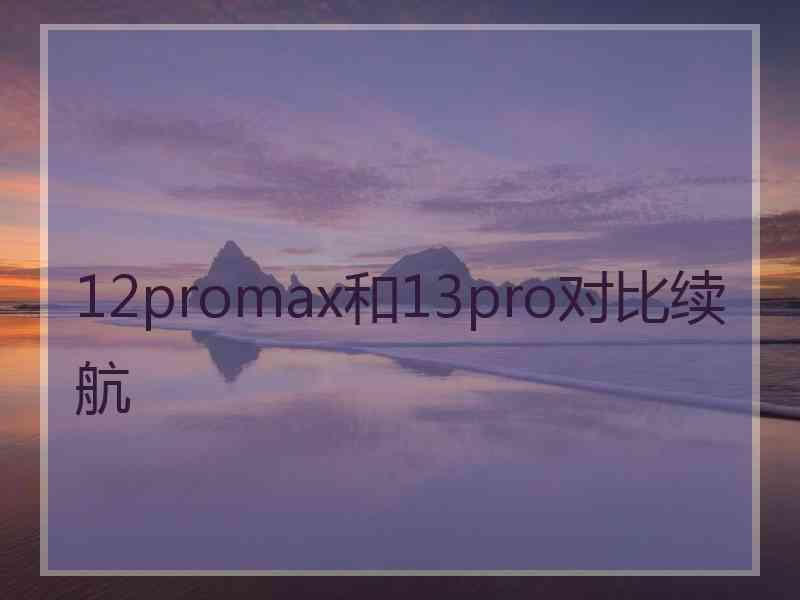 12promax和13pro对比续航