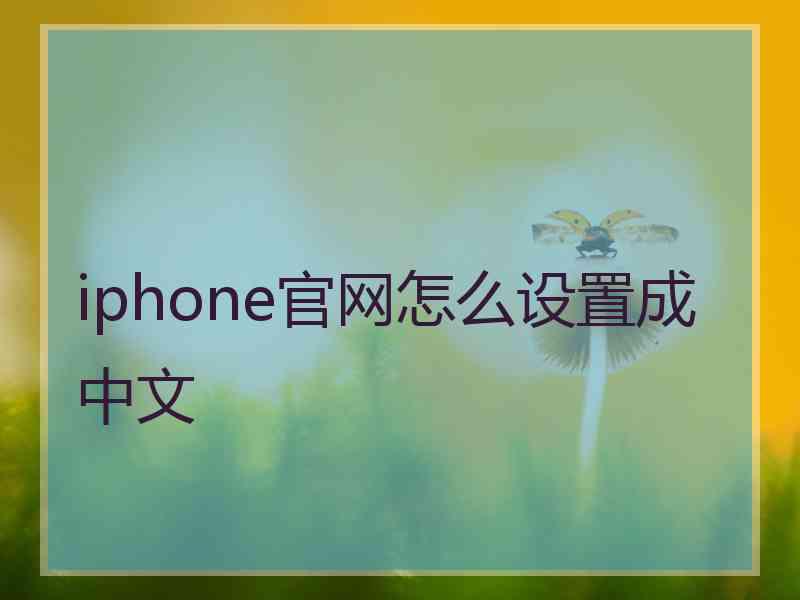 iphone官网怎么设置成中文