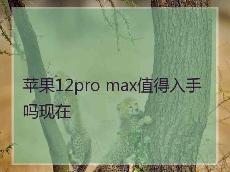 苹果12pro max值得入手吗现在