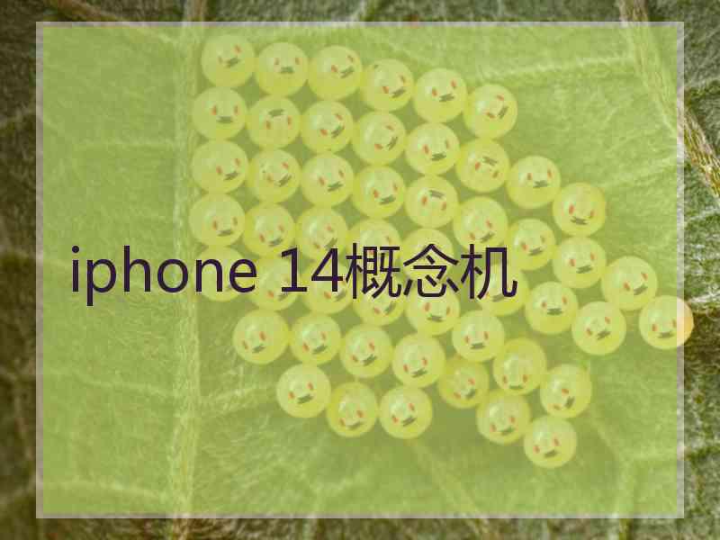 iphone 14概念机