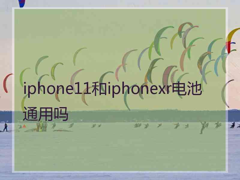 iphone11和iphonexr电池通用吗