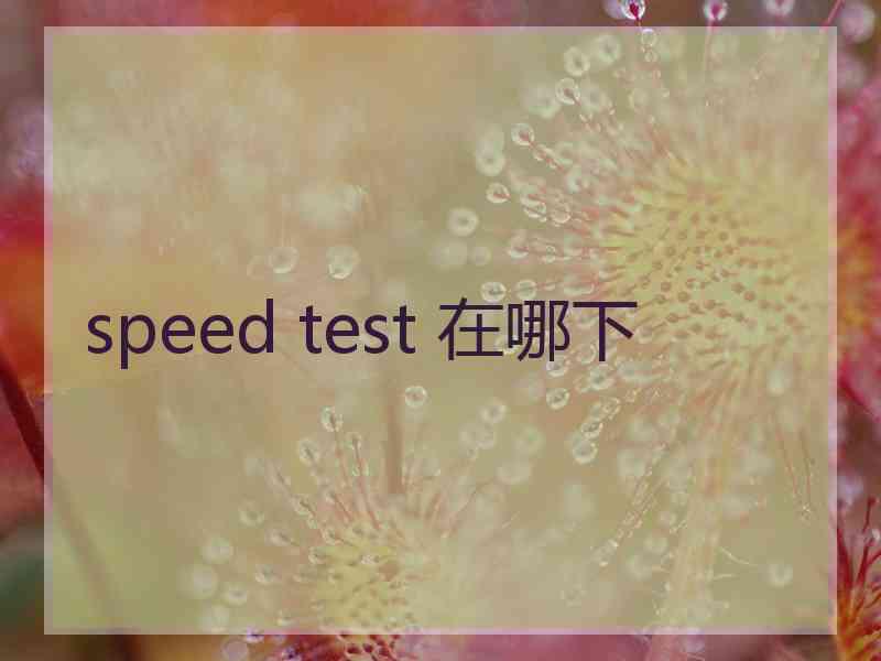 speed test 在哪下