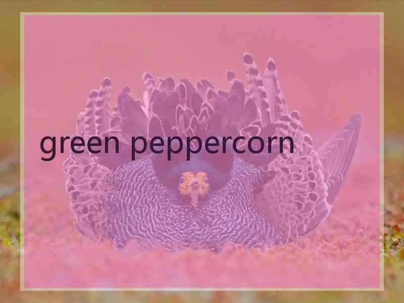 green peppercorn