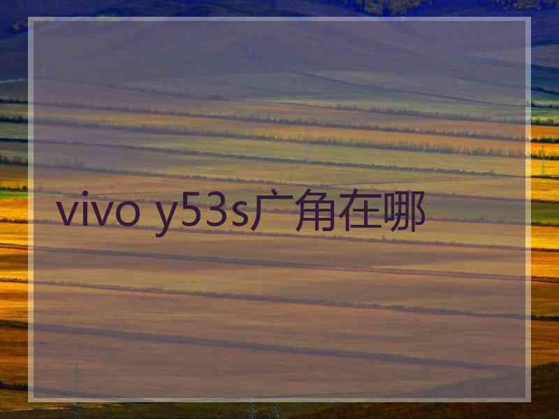 vivo y53s广角在哪